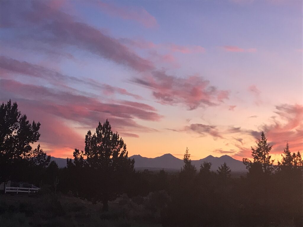 sunrise behind pine trees