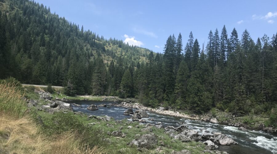 A river in montana